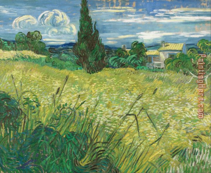 Vincent van Gogh Green Field